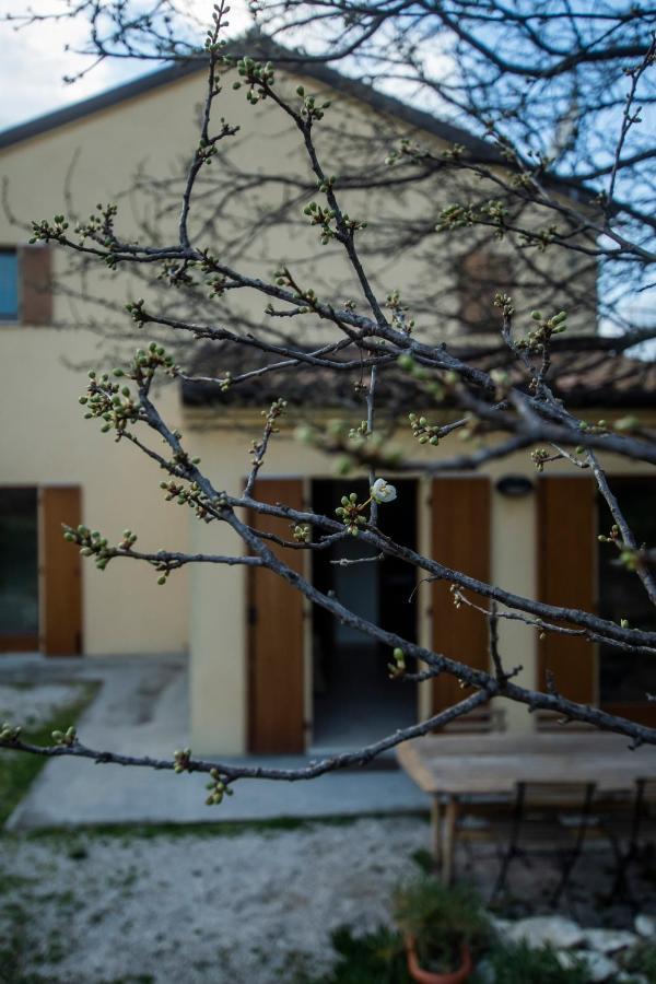 Agriturismo Conero Ancona Kültér fotó